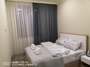 Двухкомнатная квартира новостройке в центре Еревана, возле площади Республика